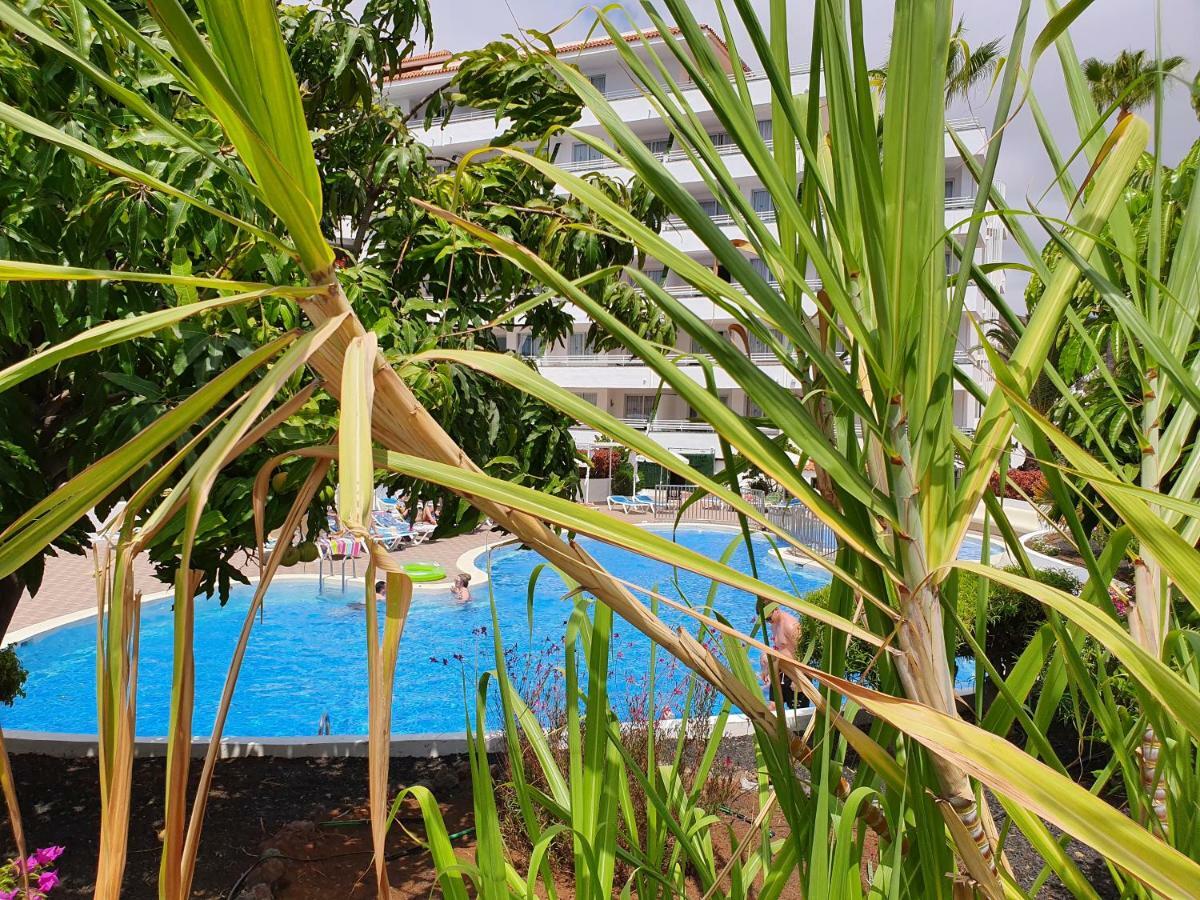 Spectacular Renovated Apartment, 5 Min To Camison Beach, With Aircon Arona (Tenerife) Exterior foto