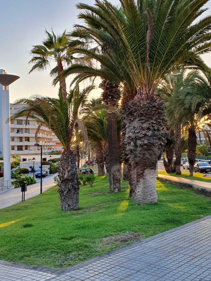 Spectacular Renovated Apartment, 5 Min To Camison Beach, With Aircon Arona (Tenerife) Exterior foto